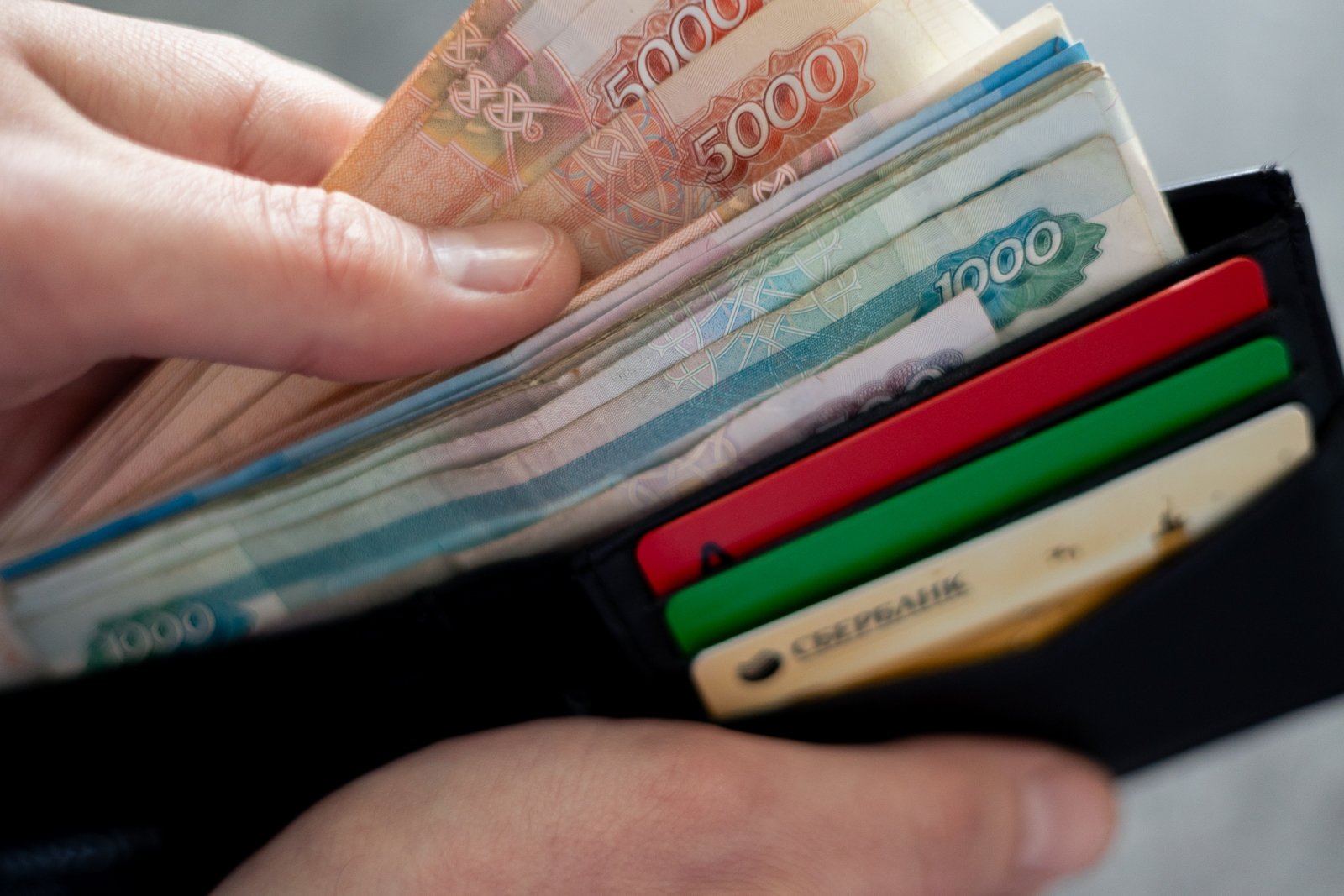 Тематическое фото ИА PrimaMedia